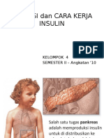 Endokrin INSULIN - Kel. 4