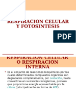 Respiracion Celular Fotosint