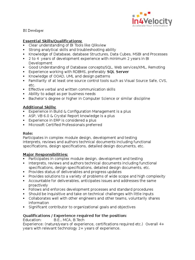BI Developer Job Requirements and Skills | PDF