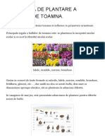 Adancimea de Plantare a Bulbilor de Toamna. _ Plant-shop