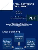 ppt ppok ayu.pptx