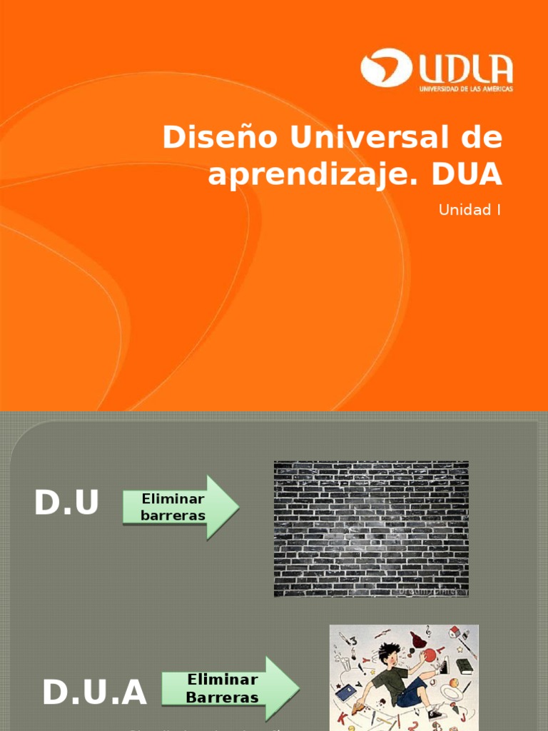 Estrategias DUA para Aprendizaje Inclusivo | PDF | Plan de estudios ...