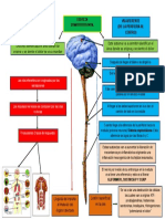 Fisiopatologia Del Dolor