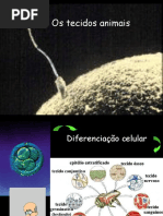 126870035999327_Tecidos-7-serie