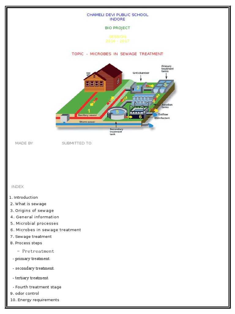 Microbes in Sewage Treatment | Sewage Treatment | Wastewater