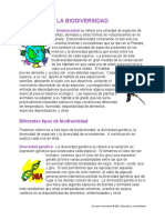 peru.pdf