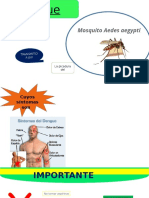 dengue bartollome.pptx