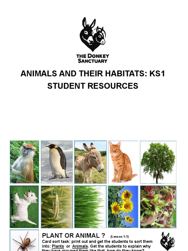 Animals and Their Habitats Ks1 Worksheets PDF Predation Pet