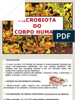 Aula microbiologia - 01 - Microbiota.pptx