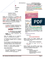 Amebiasis y Balantidiosis - Copia