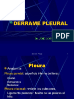 Pleura-2011