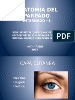 ANATOMIA DEL PARPADO.pptx