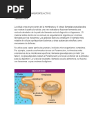 Ejemplos de Transporte
