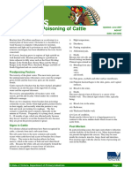 Bracken Fern Poisoning of Cattle