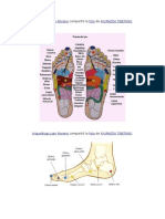 Ayurveda Tibetano de Piés