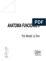 Aula 6 - Anatomia Funcionalii PDF