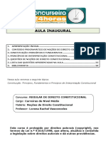 Aula Direito Constitucional