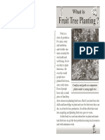 6 Fruit Tree Planting PDF