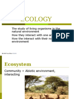01 Ecology