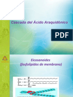 Cascada_del_acido_Araquidonico_Dra_Consuelo_Rojas.pdf