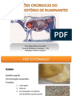 Aula 09. Afecções Digestória de Ruminantes