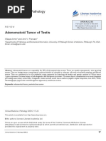 F 1644 CPath Adenomatoid Tumor of Testis - PDF 2249