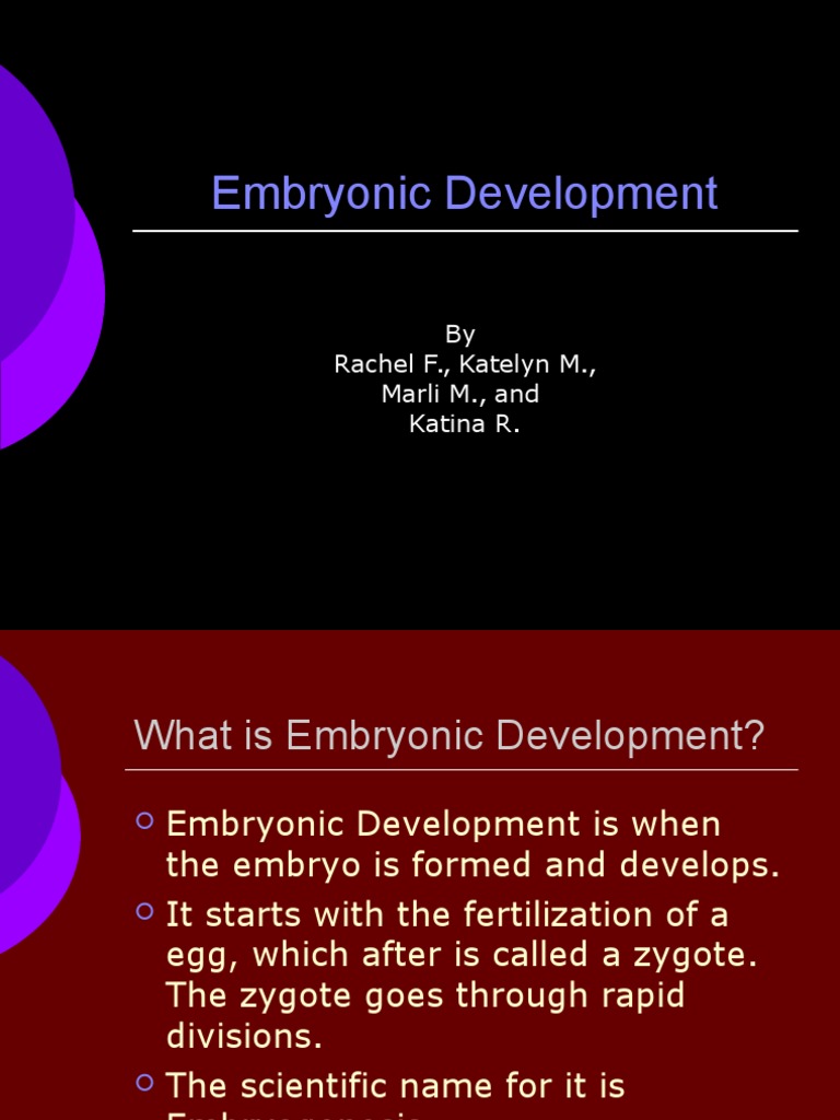 Stages of Embryonic Development Explained | PDF | Self-Improvement