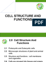 Cell 5