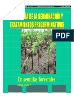 Tratamientos Pregerminativos e