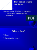 What Is Java? Getting Started With Java Programming: - Create, Compile and Running A Java Application