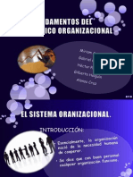 Equipo 1. Fundamentos Del Diagnostico Org.