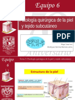 Patología Quirúrgica de La Piel y Tejido Subcutáneo