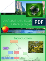 Análisis Del Ecosistema