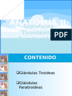 Anatomía II Glándulas Tiroideas y Paratiroideas 