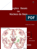 07_nucleos_basais.pdf