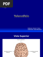 09_telencefalo.pdf
