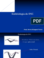 10_embriologia_do_sn.pdf