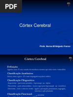 11_cortex_cerebral.pdf