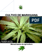 Cultivo de Marihuana