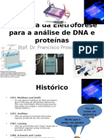 Aula 9 Eletroforese PCR Sequenciamento