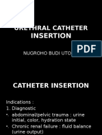 Urethral Catheter: Insertion