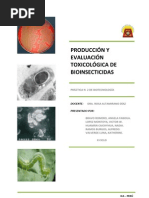 Download PRODUCCIN Y EVALUACIN TOXICOLGICA DE Bacillus thuringiensis by vwlm_20yahoocom SN32303466 doc pdf