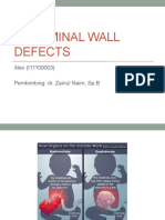 Abdominal Wall Defects.pptx