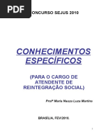 Apostila Conhecimentos Especificos