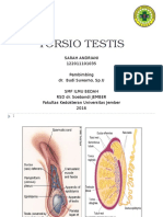 Torsio Testis