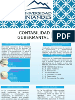 Contabilidad Gubernamental 20-30