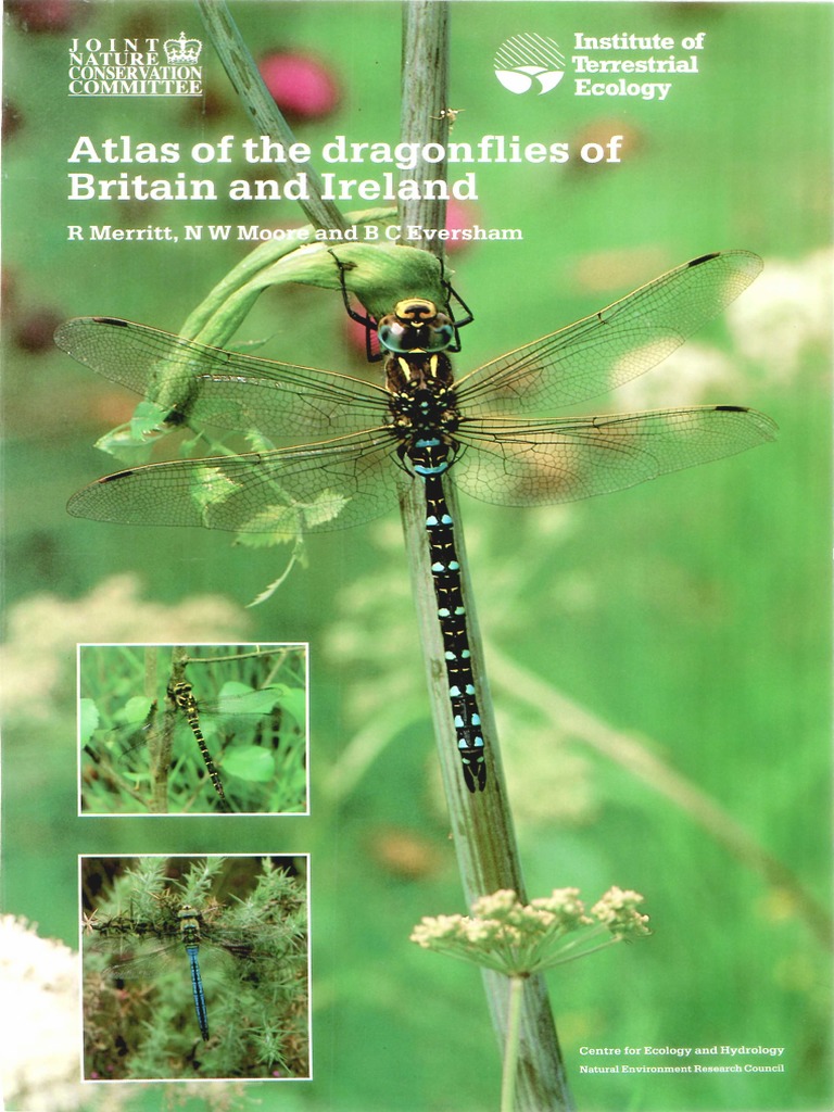 Atlas of The Dragonflies of The UK | PDF | Ecology | Ireland