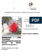 Pitaya PDF