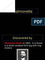 Lec 8salmonella SPP