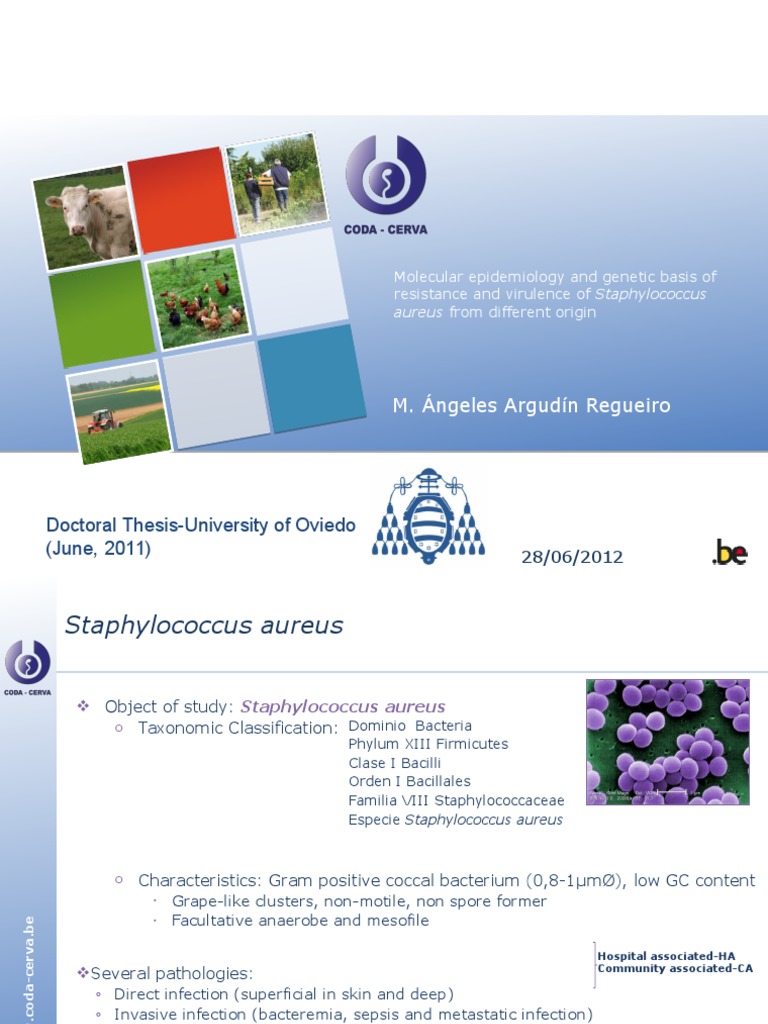 Doctoral thesis picture